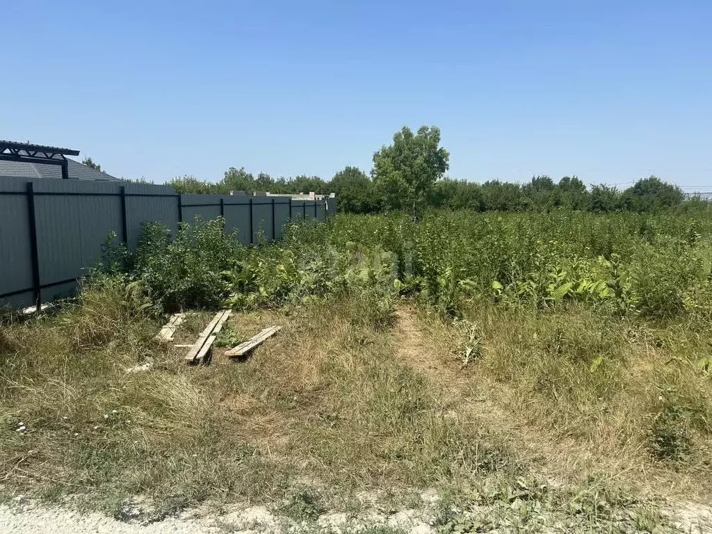 Участок в Краснодарский край, Новороссийск городской округ, ... - Фото 0