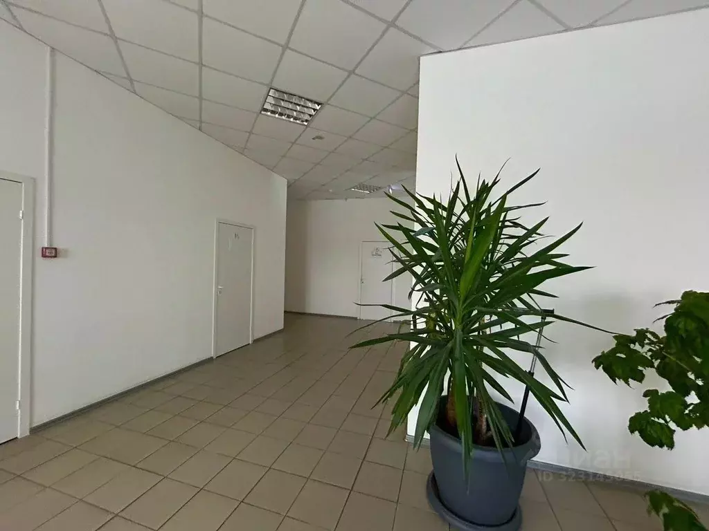 Офис в Новосибирская область, Новосибирск ул. Писемского, 26 (5 м) - Фото 1