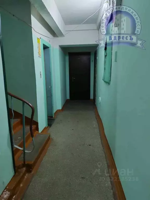 1-к кв. Томская область, Северск Солнечная ул., 21 (35.5 м) - Фото 0