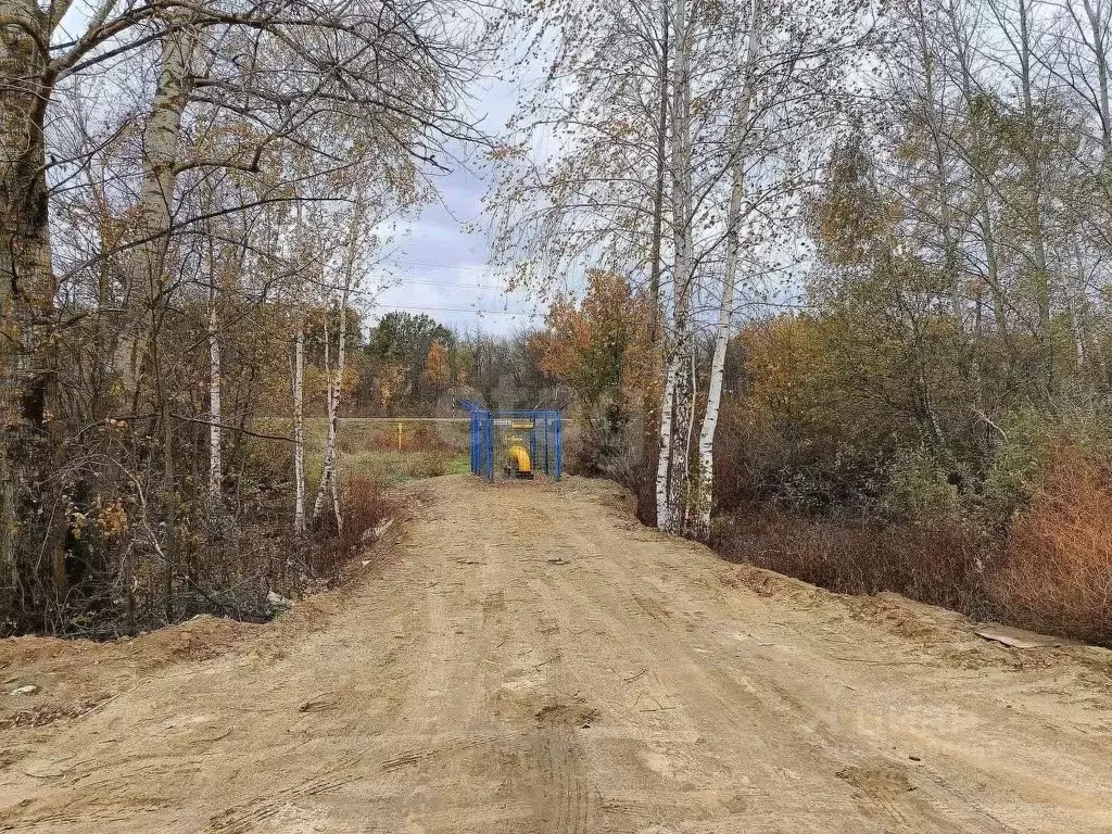 Участок в Тамбовская область, Котовск ул. Лиловая (7.2 сот.) - Фото 2