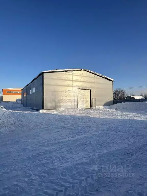 Склад в Московская область, Домодедово городской округ, д. Купчинино  ... - Фото 1