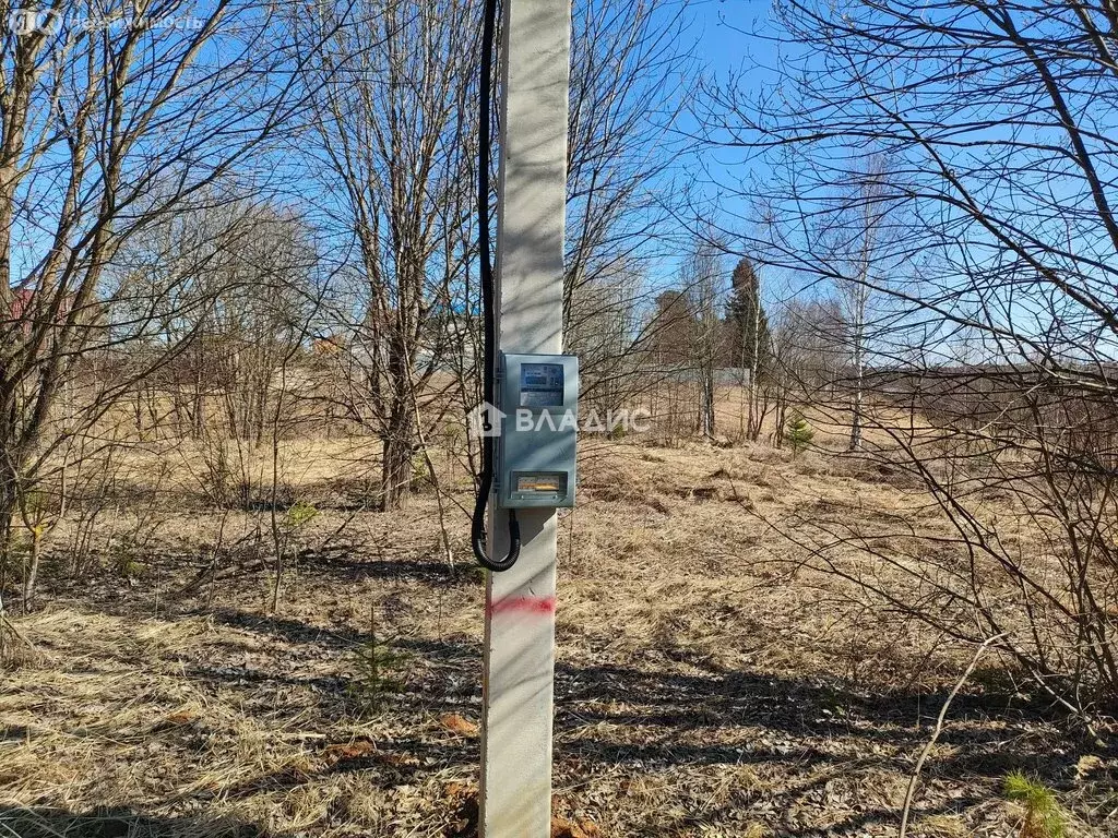 Участок в Московская область, городской округ Щёлково, деревня ... - Фото 2