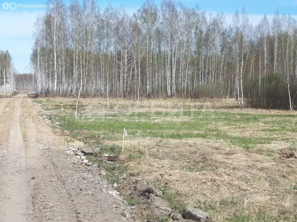 Участок в Тюмень, СНТ Строитель-3 (7 м) - Фото 1