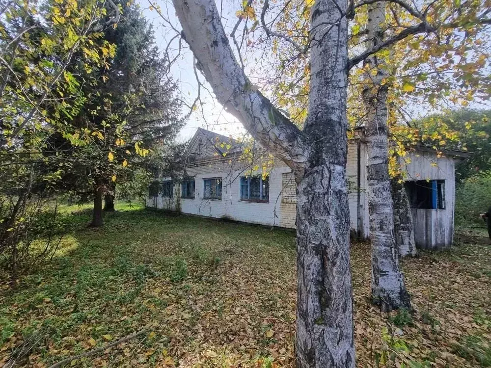 Помещение свободного назначения в Амурская область, Архаринский ... - Фото 1
