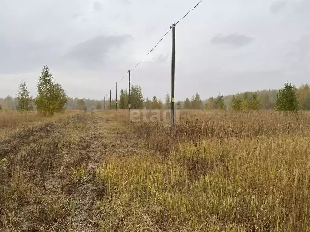 Участок в Татарстан, Зеленодольский район, Большеключинское с/пос, с. ... - Фото 1