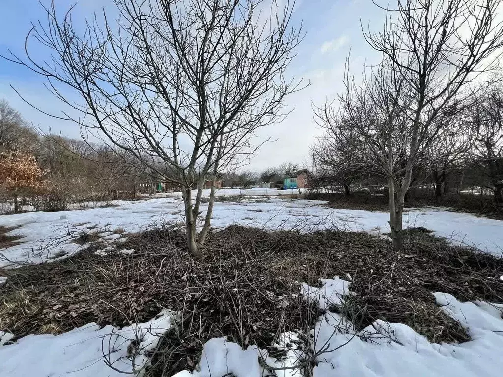 Участок в Белгородская область, Строитель Яковлевский городской округ, ... - Фото 2