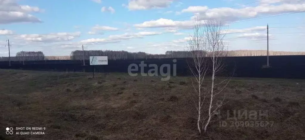 Участок в Омская область, Омский район, пос. Омский ул. Ленина (10.0 ... - Фото 1