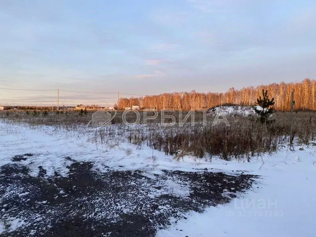 Участок в Свердловская область, Тугулымский муниципальный округ, с. ... - Фото 1