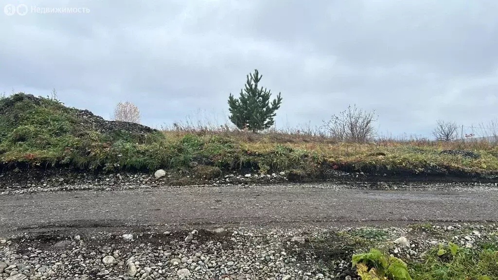 Участок в Майминский район, село Подгорное, Заречная улица (6.5 м) - Фото 1