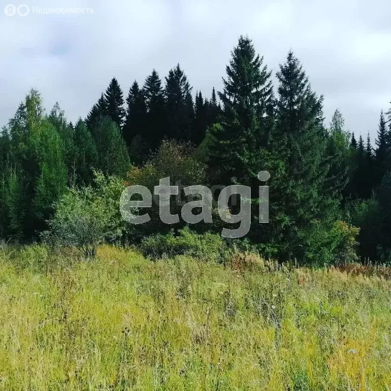 Участок в Пермский муниципальный округ, деревня Кулики, Олимпийская ... - Фото 2