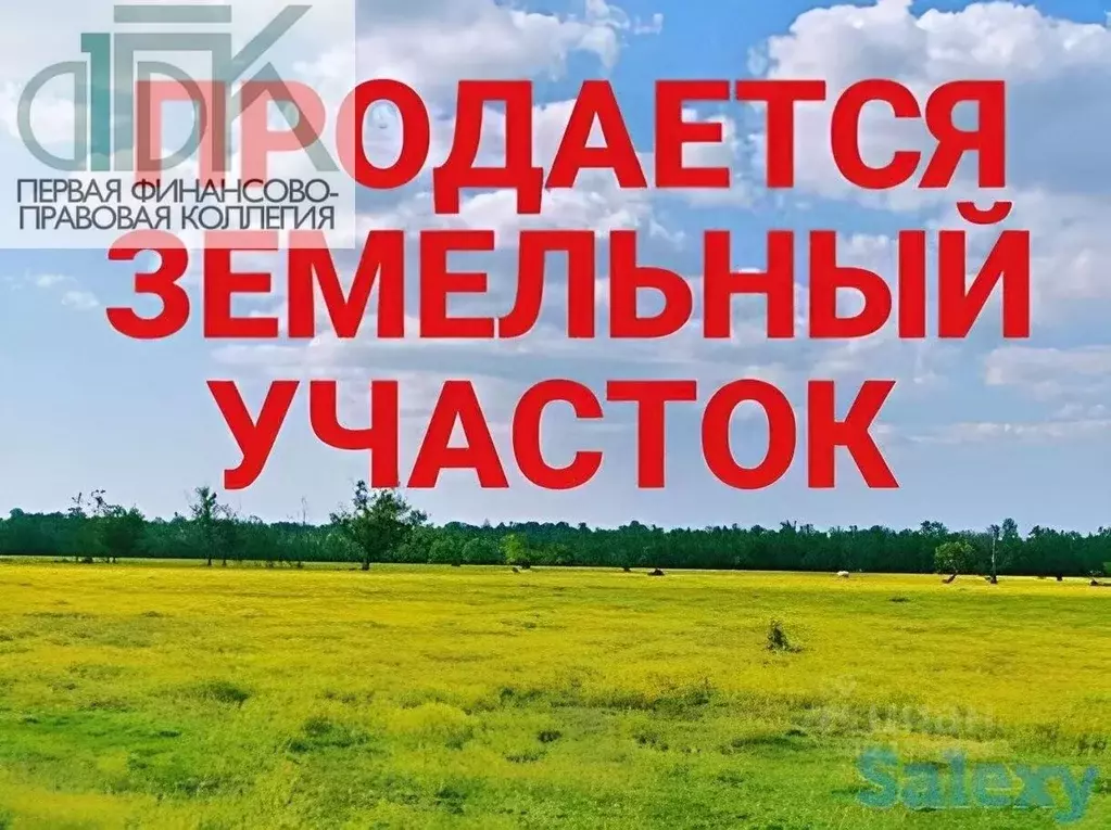 Участок в Нижегородская область, Арзамас городской округ, с. Новый ... - Фото 0