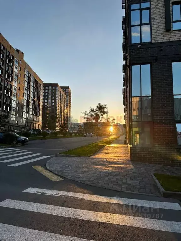 Гараж в Ростовская область, Ростов-на-Дону просп. 40-летия Победы, ... - Фото 2