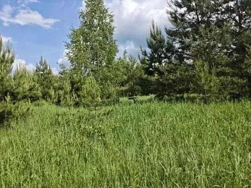 Участок в Московская область, Воскресенск городской округ, д. ... - Фото 2