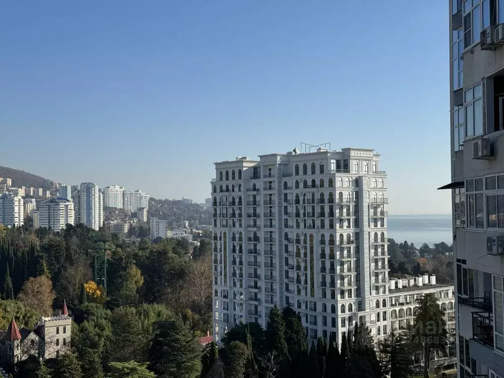 Студия Краснодарский край, Сочи Светлана мкр, ул. Депутатская, 10 ... - Фото 1