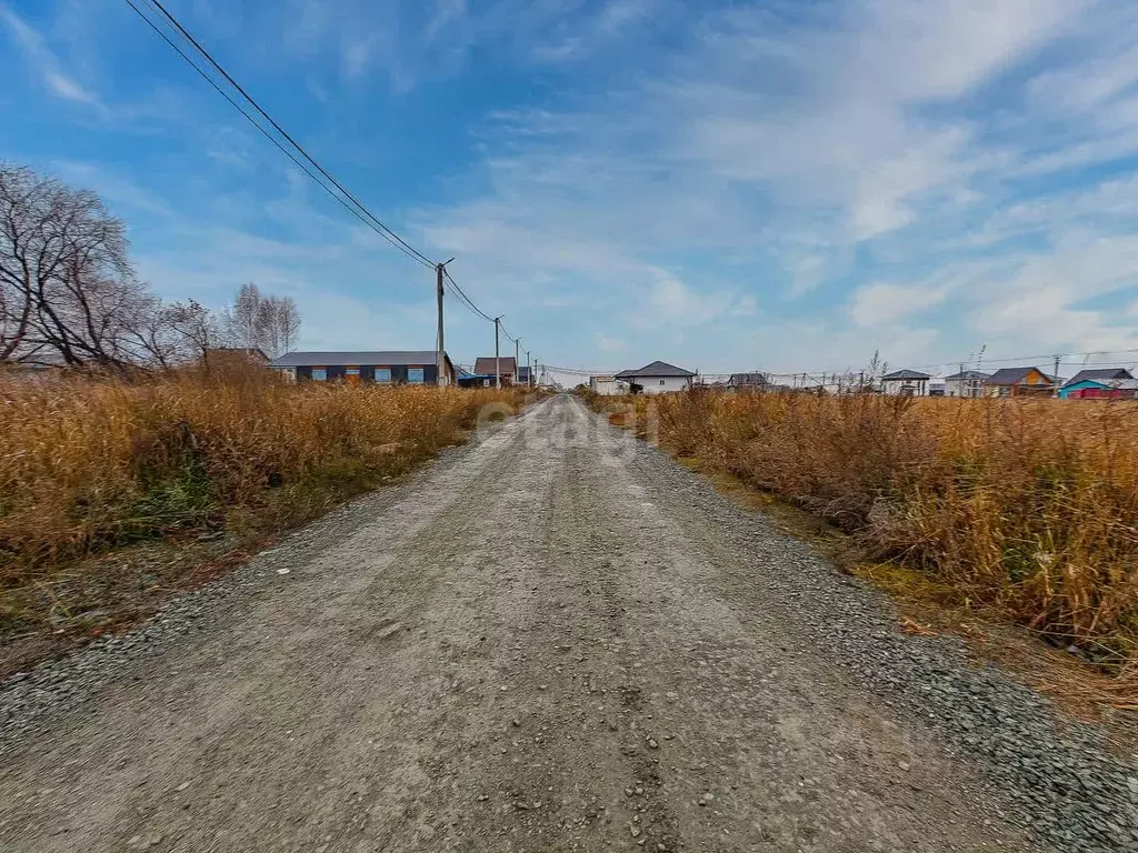 Участок в Новосибирская область, Новосибирский район, Каменский ... - Фото 1