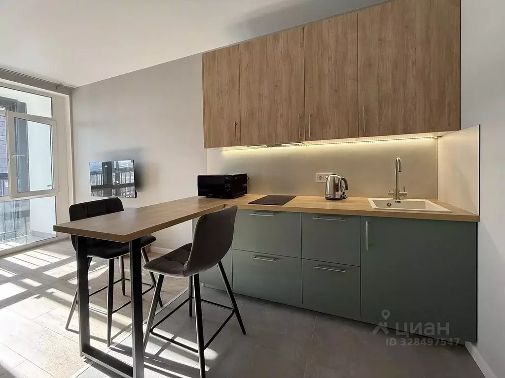 Студия Москва № 160 кв-л, 1Вк2 (24.0 м) - Фото 2