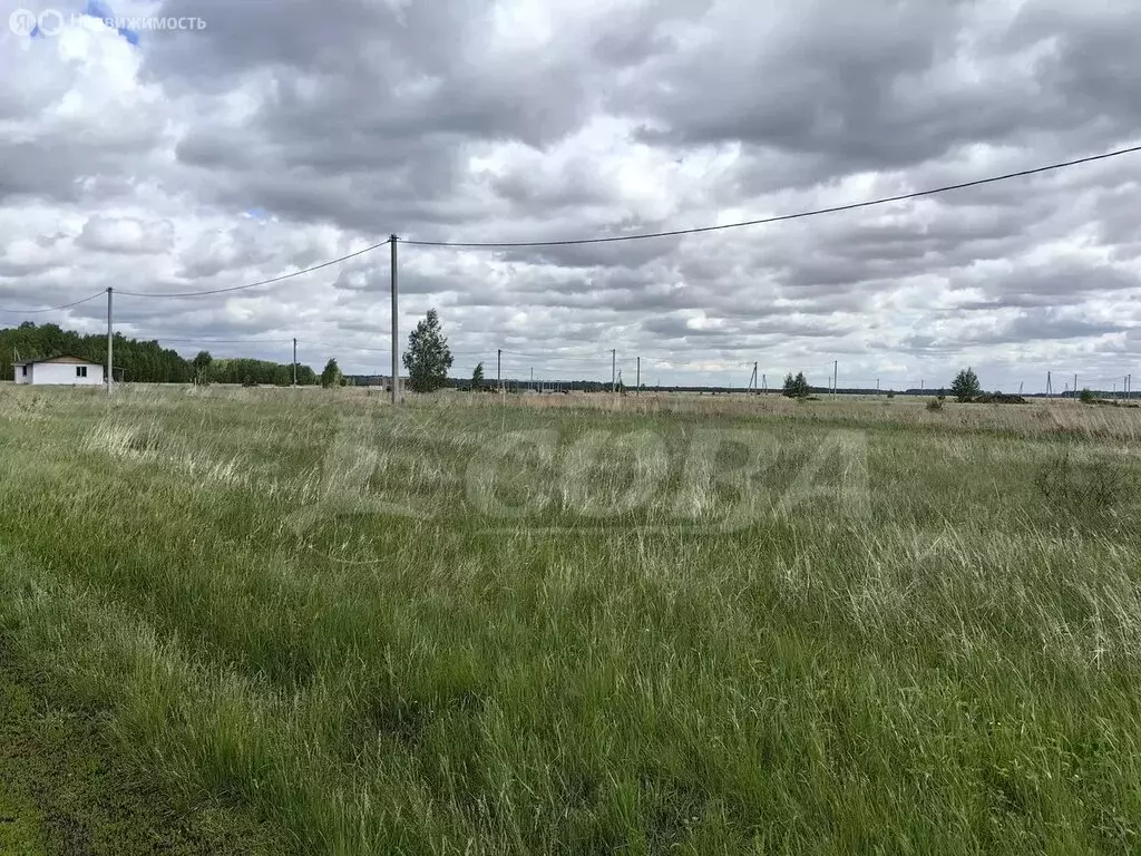 Участок в Курганская область, Кетовский муниципальный округ, ... - Фото 0