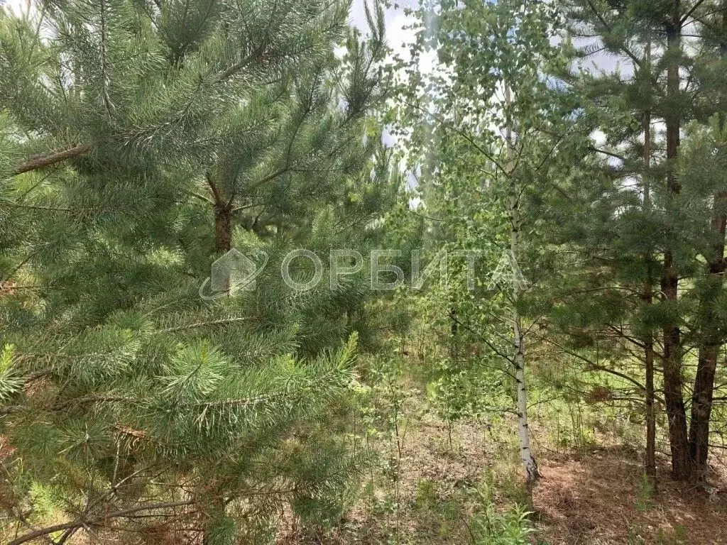 Участок в Тюменская область, Нижнетавдинский муниципальный округ, д. ... - Фото 1