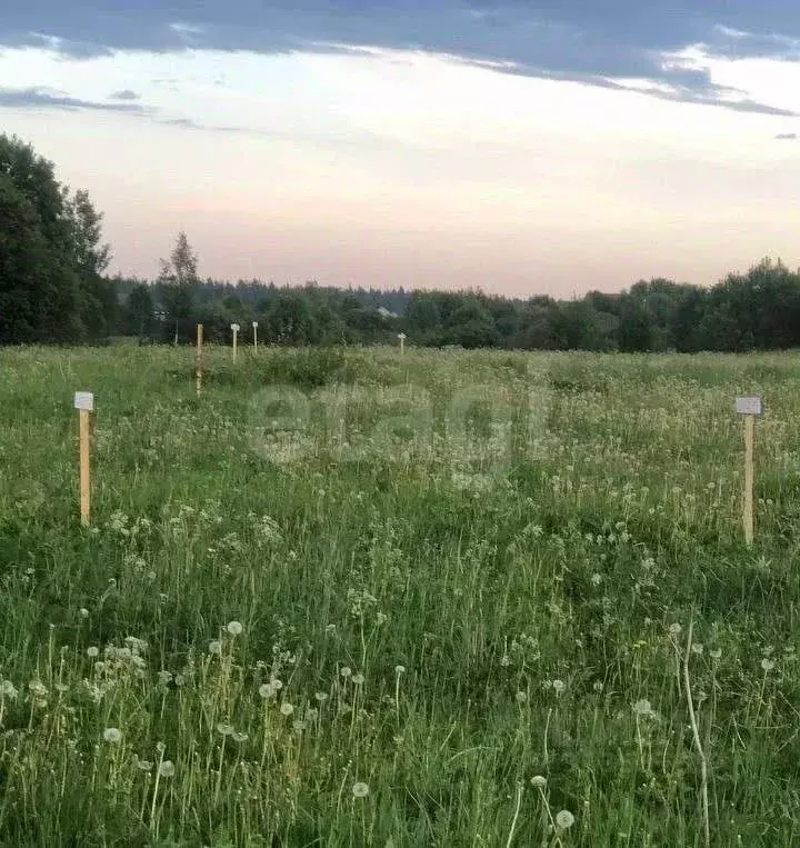 Участок в Ленинградская область, Всеволожский район, Куйвозовское ... - Фото 1