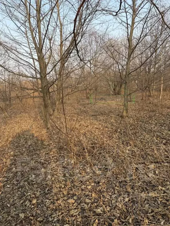 Участок в Приморский край, Артем Амур СНТ,  (10.0 сот.) - Фото 2