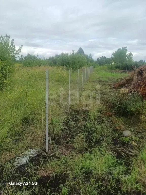 Участок в Алтайский край, Первомайский район, Феникс СНТ ул. 8-я, 72 ... - Фото 1