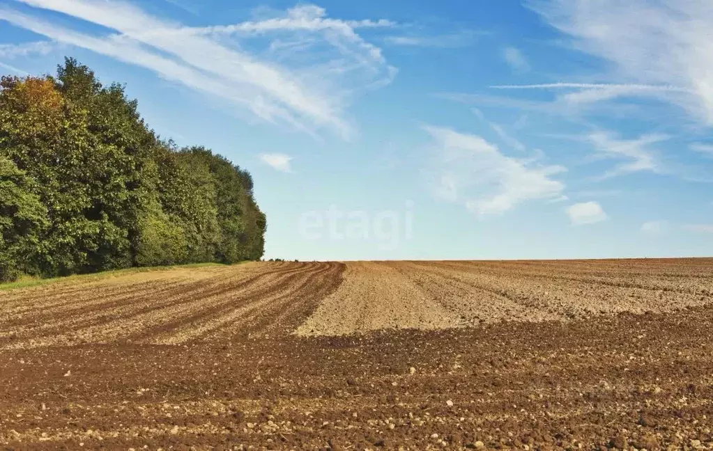 Участок в Курганская область, Шадринск  (870.0 сот.) - Фото 0