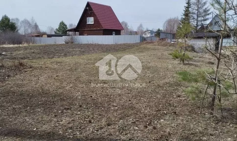 Участок в Новосибирская область, Колыванский район, Авиастроитель СНТ ... - Фото 2