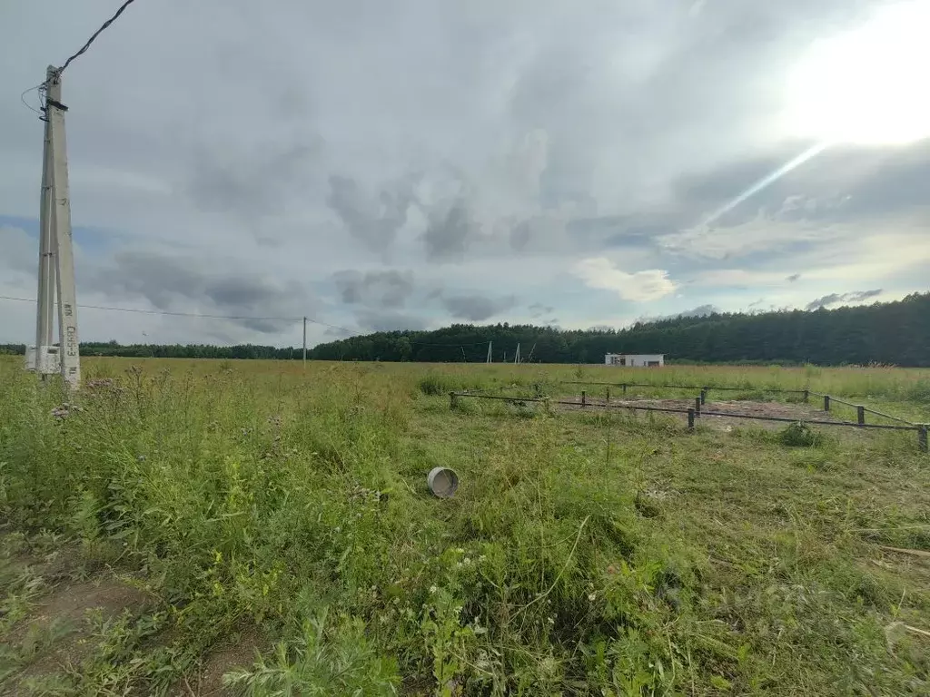 Участок в Московская область, Богородский городской округ, д. Исаково ... - Фото 1
