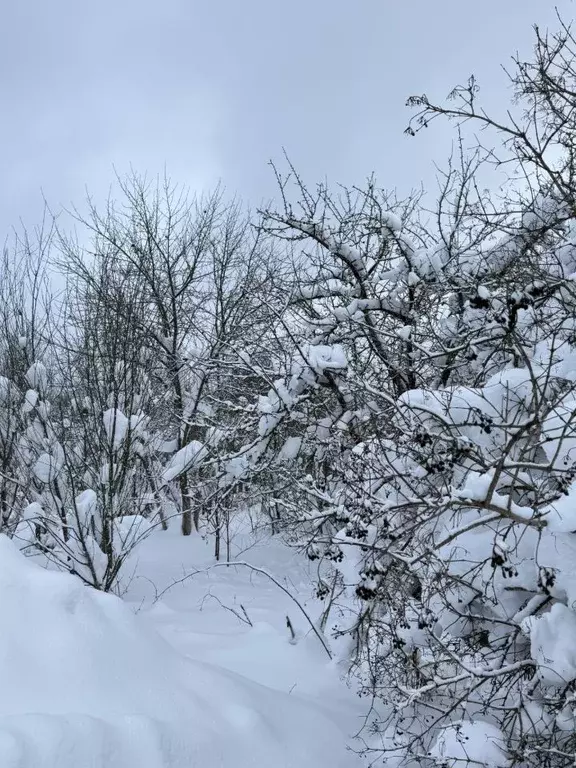 Участок в Кировская область, Кирово-Чепецкий район, Пасеговское с/пос, ... - Фото 2