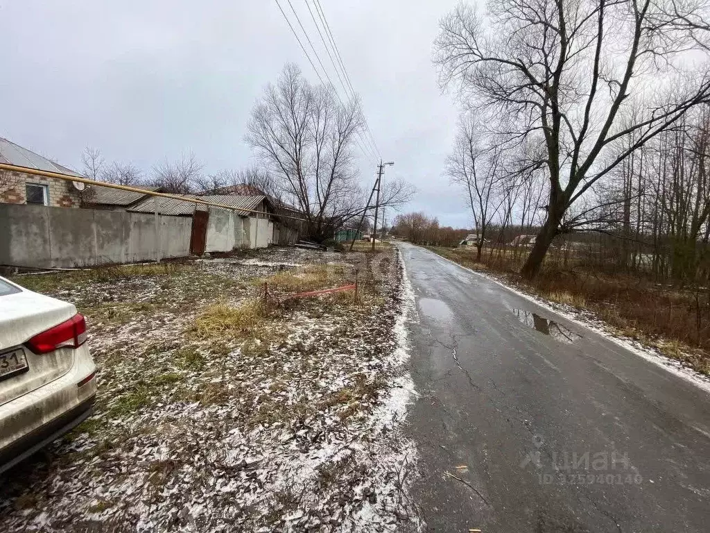 Участок в Белгородская область, Губкинский городской округ, Пугачи ... - Фото 2