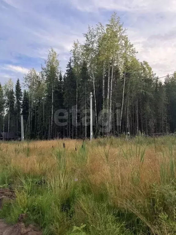 Участок в Коми, Сыктывкар Усадебная ул. (15.5 сот.) - Фото 1