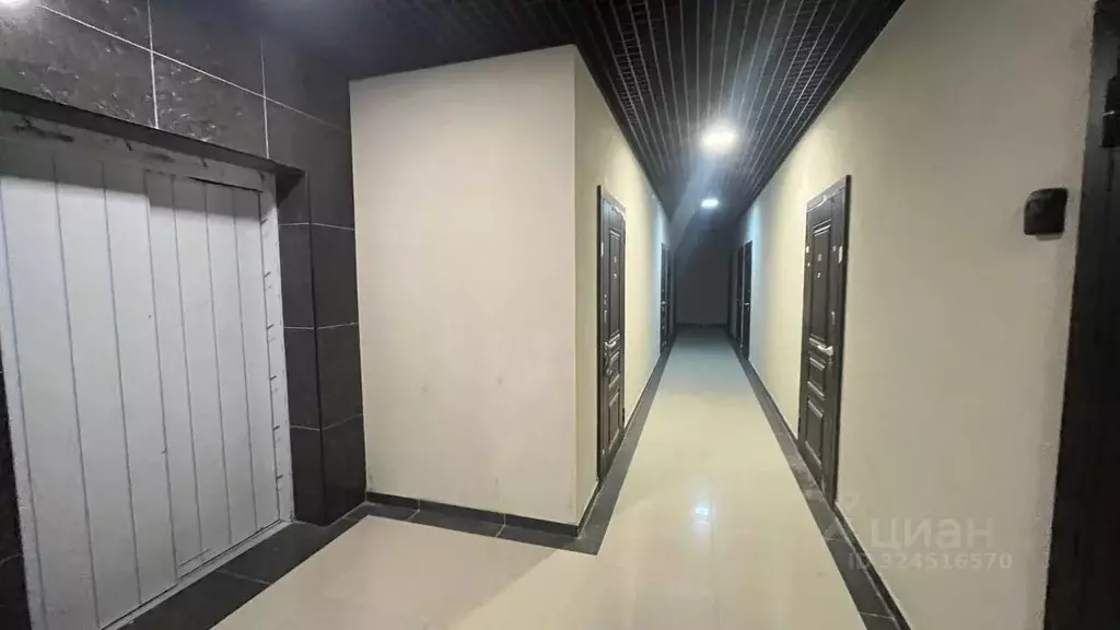 Помещение свободного назначения в Краснодарский край, Сочи ул. Ленина, ... - Фото 1