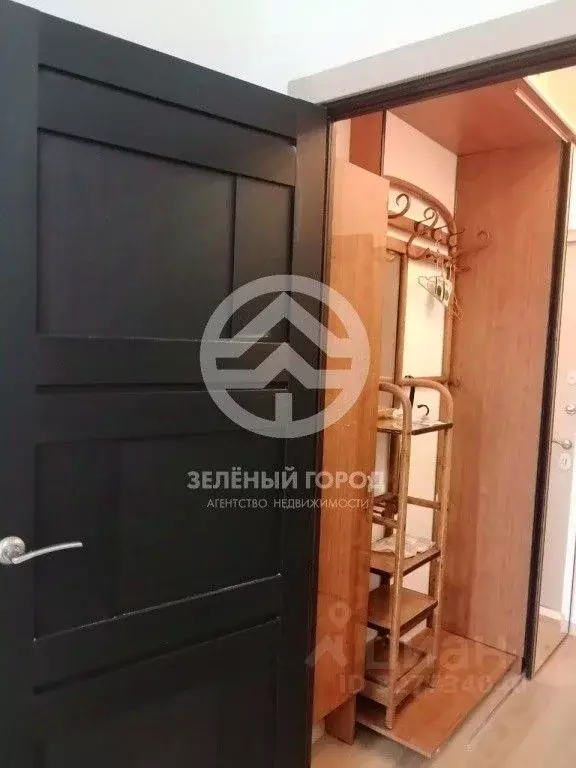 Студия Московская область, Солнечногорск городской округ, Голубое пгт ... - Фото 1