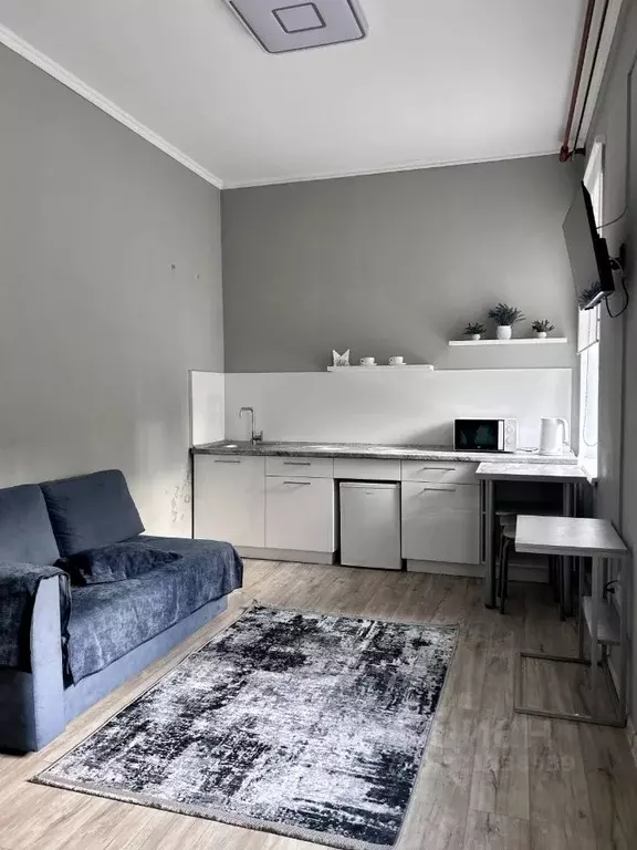 2-к кв. Алтайский край, Барнаул Новороссийская ул., 7 (27.0 м) - Фото 2