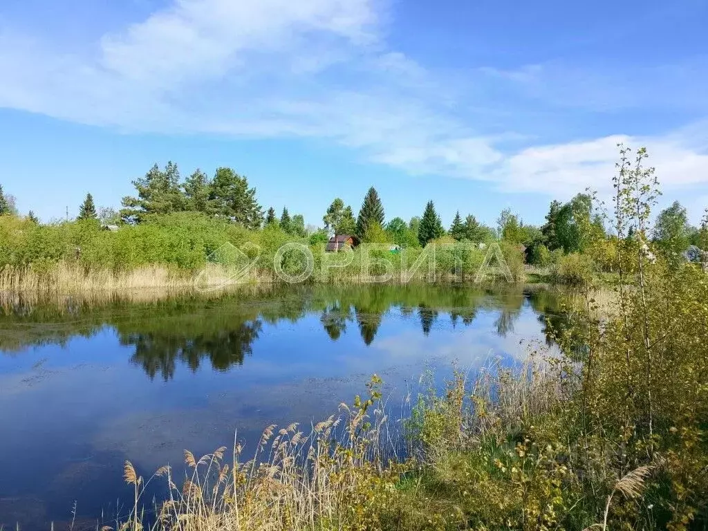 Дом в Тюменская область, Нижнетавдинский район, Лесная сказка СНТ ул. ... - Фото 0