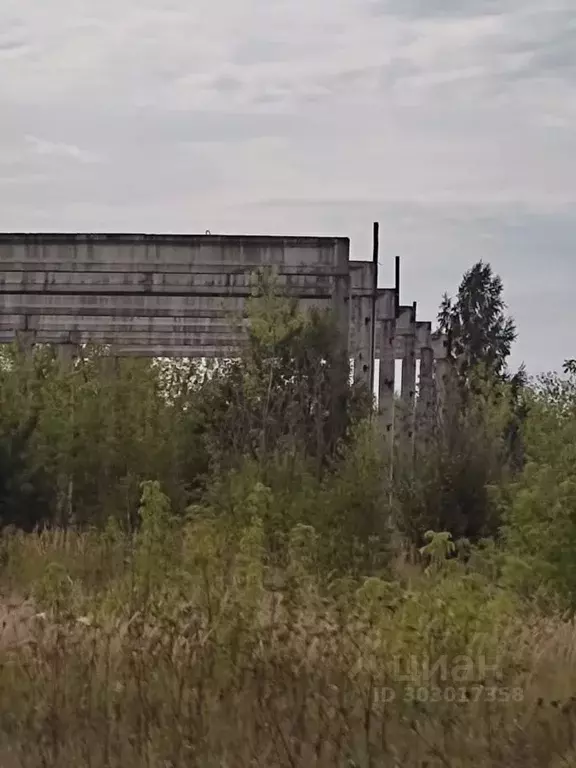 Помещение свободного назначения в Рязанская область, Ряжск Луговая ... - Фото 1