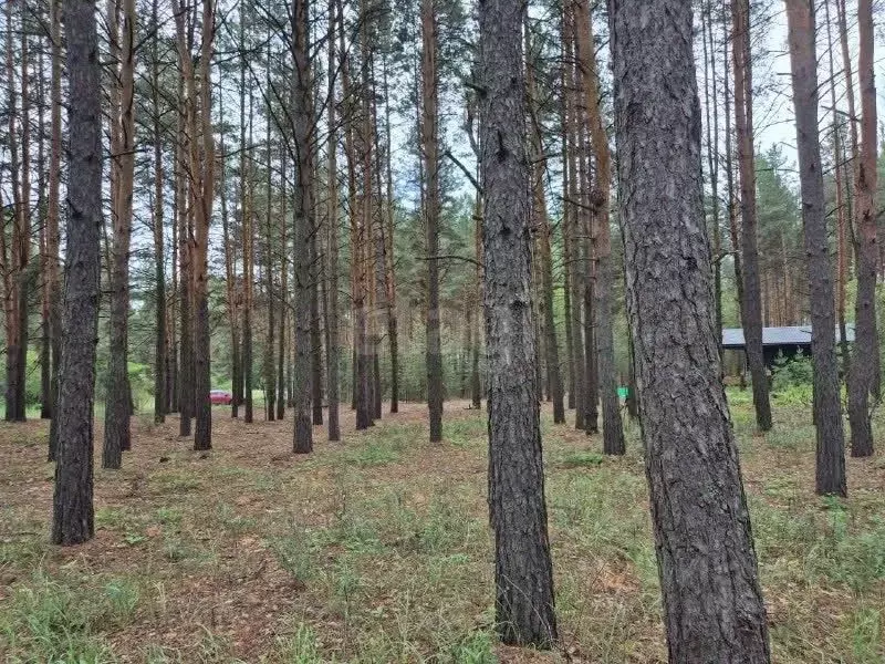 Участок в Тамбовская область, Тамбовский муниципальный округ, с. ... - Фото 2