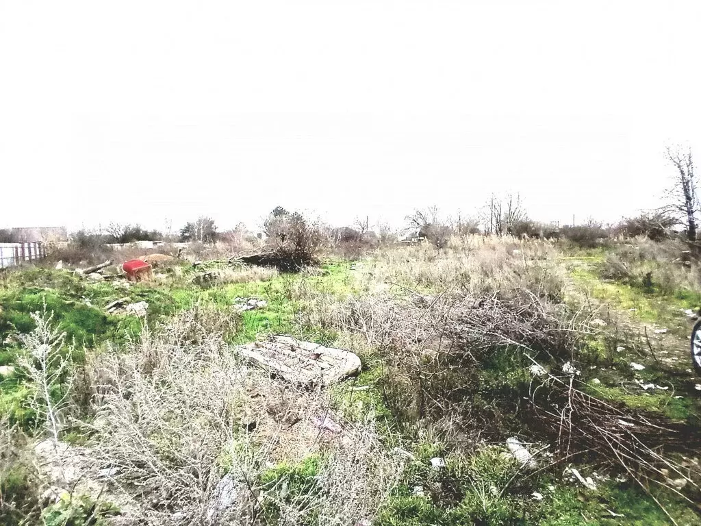 Участок в Азовский район, село Кулешовка (17 м) - Фото 1