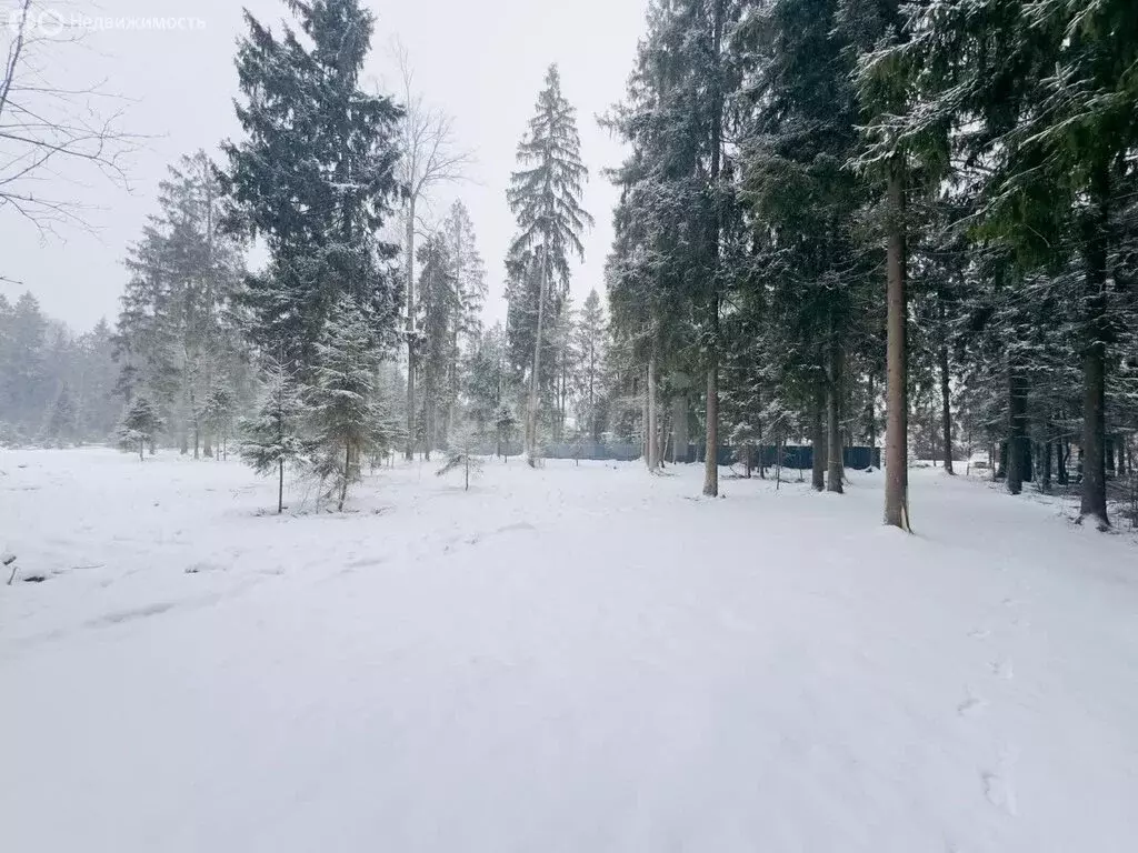 Участок в Орехово-Зуевский городской округ (6.8 м) - Фото 0