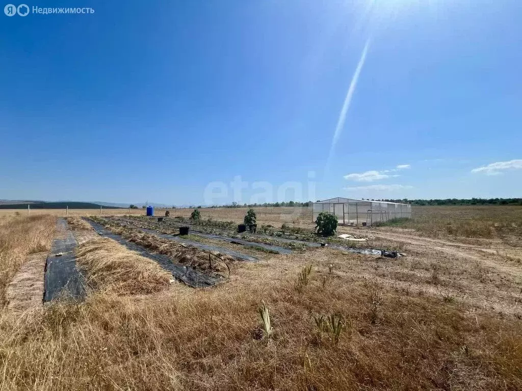 Участок в Белогорский район, село Вишенное (500 м) - Фото 0
