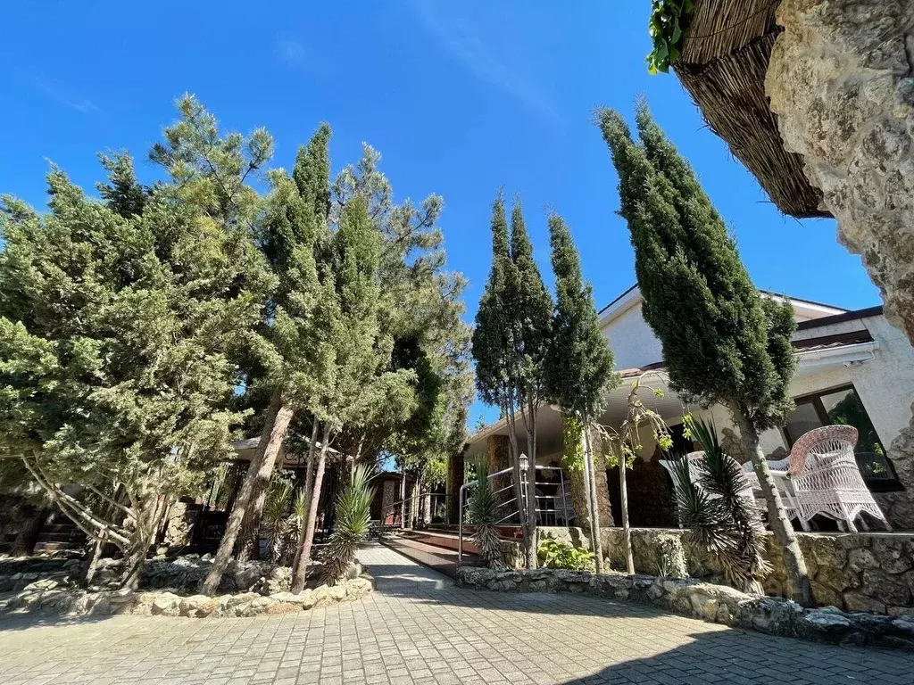 Дом в Крым, Черноморский район, Оленевское с/пос, с. Оленевка  (300 м) - Фото 1