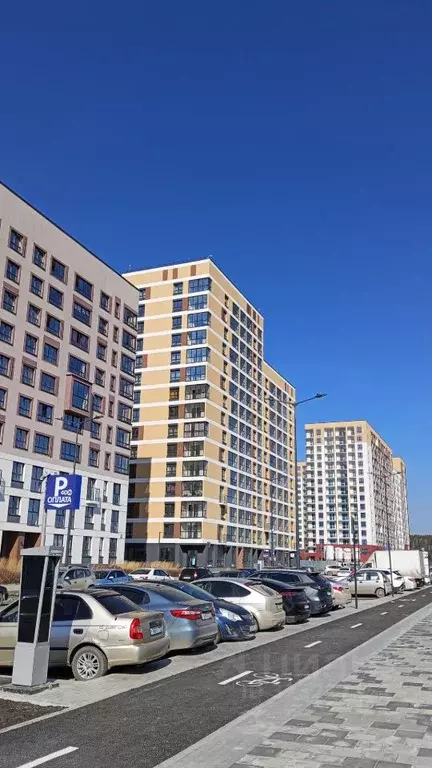 Торговая площадь в Свердловская область, Екатеринбург ул. Паригория ... - Фото 1