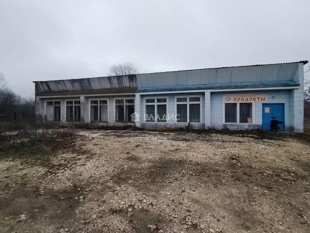 Помещение свободного назначения в Владимирская область, Вязниковский ... - Фото 2