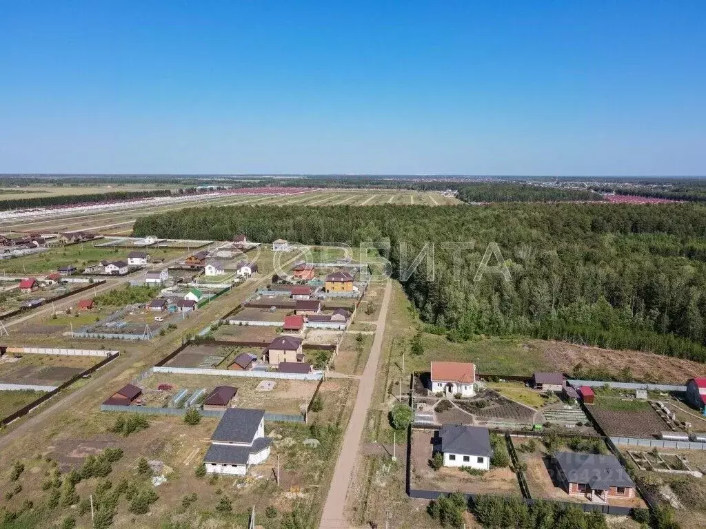 Участок в Тюменская область, Тюменский муниципальный округ, Каменское ... - Фото 1