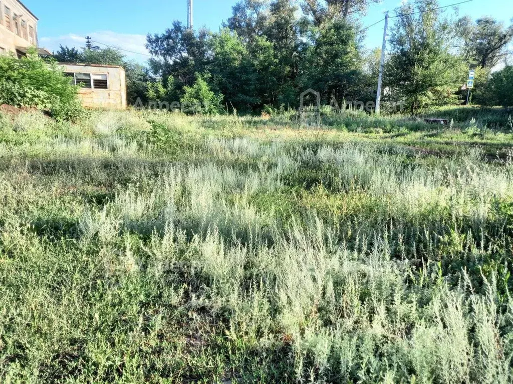 Участок в Волгоградская область, Среднеахтубинский район, Куйбышевское ... - Фото 1
