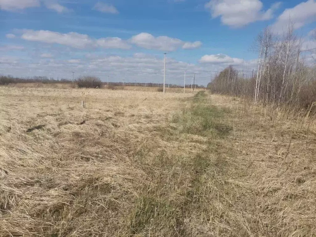Участок в Тюменская область, Тюмень Большое Царево-3 ОНТ, ул. ... - Фото 2