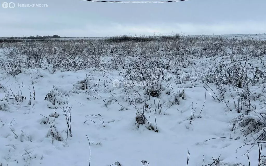 Участок в село Воскресеновка, Лесная улица, 8 (11.37 м) - Фото 0