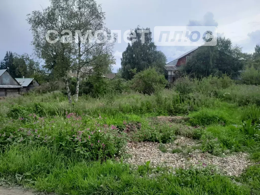 Участок в Вологодская область, Шексна рп, Шексна Южная мкр  (14.26 ... - Фото 1