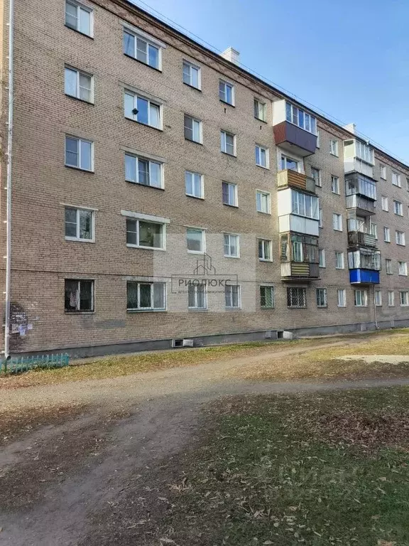 1-к кв. Челябинская область, Коркино ул. 30 лет ВЛКСМ, 37 (30.5 м) - Фото 2