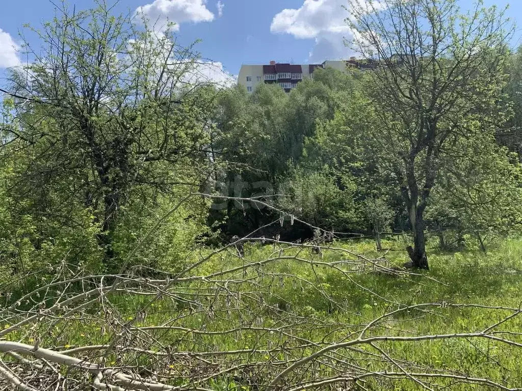 Участок в Мордовия, Саранск Натуралист СНТ,  (4.0 сот.) - Фото 1